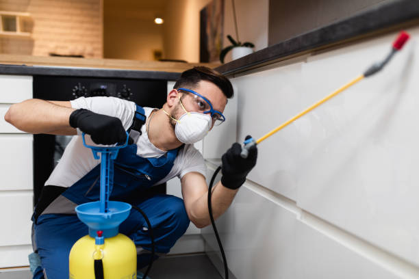 Flea Control Services in Mahnomen, MN