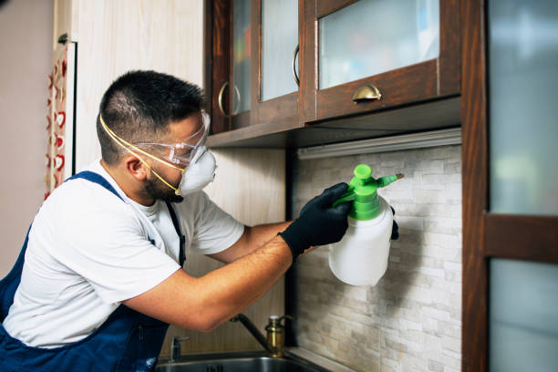 Best Pest Removal Services  in Mahnomen, MN