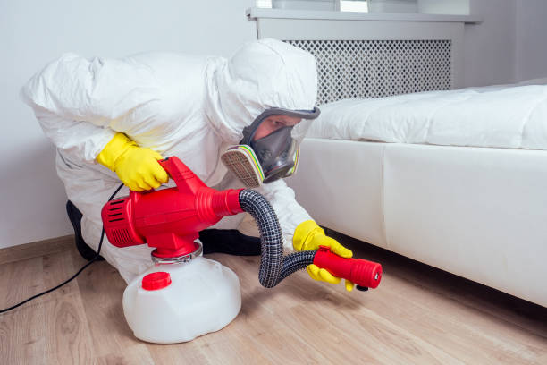 Best Pest Control Treatment  in Mahnomen, MN