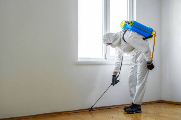 Trusted Mahnomen, MN Pest Control Experts