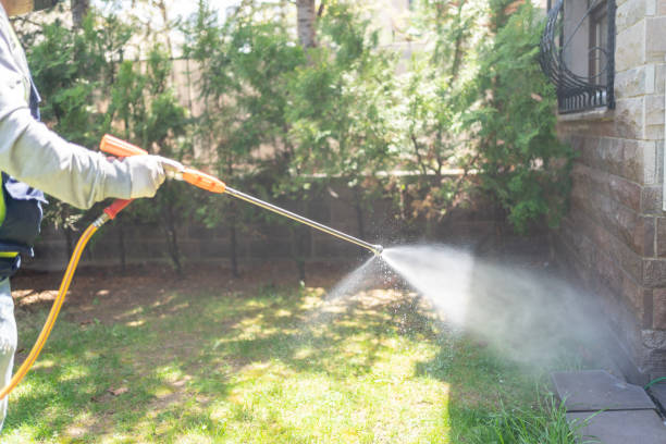 Best Best Pest Control Companies  in Mahnomen, MN